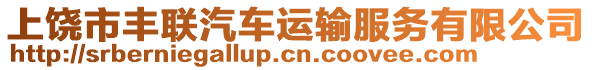 上饒市豐聯(lián)汽車運(yùn)輸服務(wù)有限公司