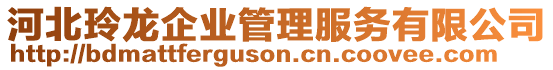 河北玲龍企業(yè)管理服務(wù)有限公司