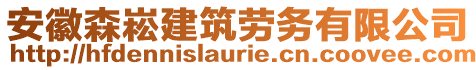 安徽森崧建筑勞務(wù)有限公司