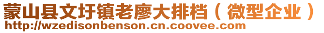 蒙山县文圩镇老廖大排档（微型企业）