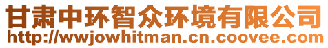 甘肅中環(huán)智眾環(huán)境有限公司