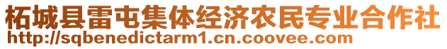 柘城縣雷屯集體經(jīng)濟(jì)農(nóng)民專業(yè)合作社