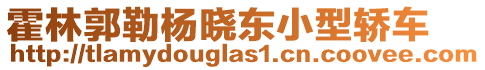 霍林郭勒楊曉東小型轎車