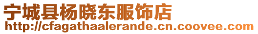 寧城縣楊曉東服飾店