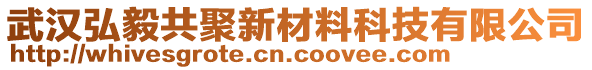 武漢弘毅共聚新材料科技有限公司