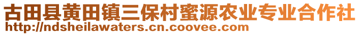 古田縣黃田鎮(zhèn)三保村蜜源農(nóng)業(yè)專業(yè)合作社