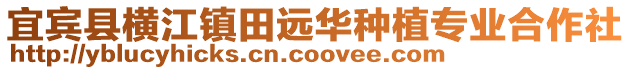 宜宾县横江镇田远华种植专业合作社