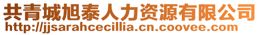 共青城旭泰人力資源有限公司