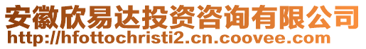 安徽欣易達投資咨詢有限公司