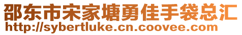 邵東市宋家塘勇佳手袋總匯