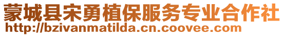 蒙城县宋勇植保服务专业合作社