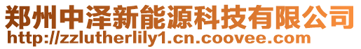 鄭州中澤新能源科技有限公司