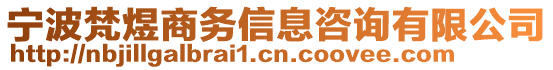 寧波梵煜商務(wù)信息咨詢有限公司