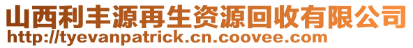 山西利豐源再生資源回收有限公司