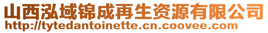 山西泓域錦成再生資源有限公司