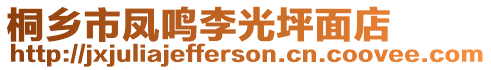 桐鄉(xiāng)市鳳鳴李光坪面店