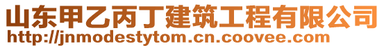 山東甲乙丙丁建筑工程有限公司