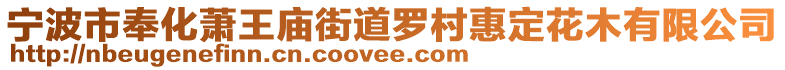 寧波市奉化蕭王廟街道羅村惠定花木有限公司