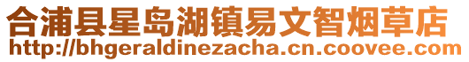 合浦縣星島湖鎮(zhèn)易文智煙草店