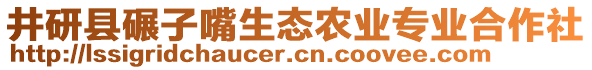 井研縣碾子嘴生態(tài)農(nóng)業(yè)專業(yè)合作社