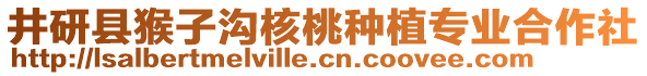 井研縣猴子溝核桃種植專業(yè)合作社