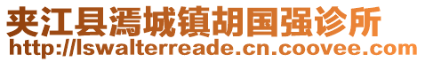 夾江縣漹城鎮(zhèn)胡國(guó)強(qiáng)診所