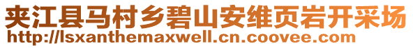 夾江縣馬村鄉(xiāng)碧山安維頁巖開采場