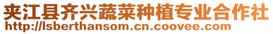 夾江縣齊興蔬菜種植專業(yè)合作社