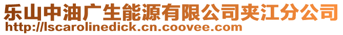 樂山中油廣生能源有限公司夾江分公司