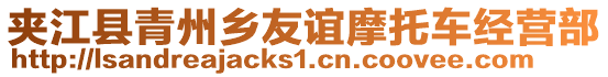 夾江縣青州鄉(xiāng)友誼摩托車經(jīng)營部