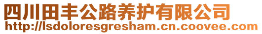 四川田豐公路養(yǎng)護(hù)有限公司