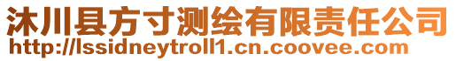 沐川縣方寸測繪有限責任公司