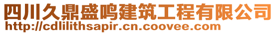 四川久鼎盛鳴建筑工程有限公司