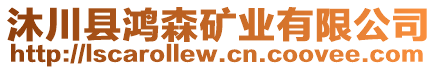 沐川縣鴻森礦業(yè)有限公司