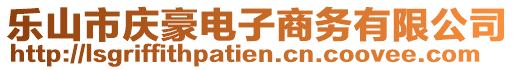 樂山市慶豪電子商務(wù)有限公司