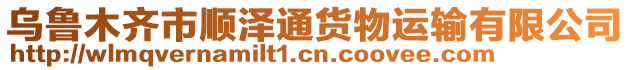 烏魯木齊市順澤通貨物運輸有限公司