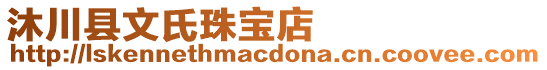 沐川縣文氏珠寶店