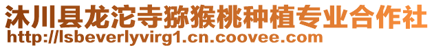 沐川縣龍沱寺獼猴桃種植專業(yè)合作社