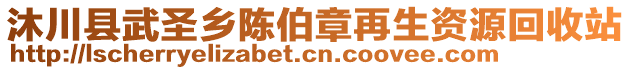 沐川縣武圣鄉(xiāng)陳伯章再生資源回收站