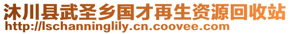 沐川县武圣乡国才再生资源回收站