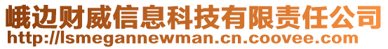 峨邊財(cái)威信息科技有限責(zé)任公司