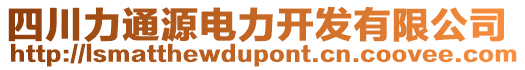 四川力通源電力開發(fā)有限公司