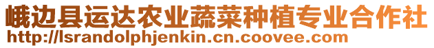 峨邊縣運(yùn)達(dá)農(nóng)業(yè)蔬菜種植專業(yè)合作社