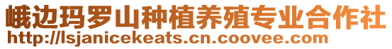 峨邊瑪羅山種植養(yǎng)殖專業(yè)合作社