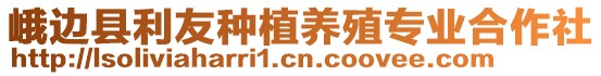 峨邊縣利友種植養(yǎng)殖專業(yè)合作社