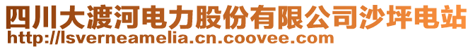 四川大渡河電力股份有限公司沙坪電站