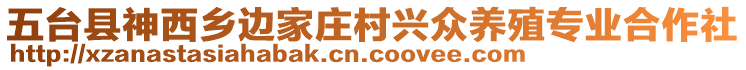 五臺(tái)縣神西鄉(xiāng)邊家莊村興眾養(yǎng)殖專業(yè)合作社