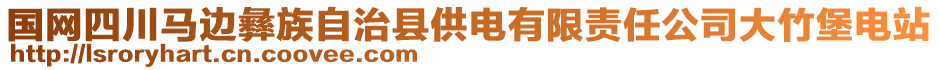 國網(wǎng)四川馬邊彝族自治縣供電有限責(zé)任公司大竹堡電站