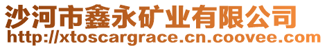 沙河市鑫永礦業(yè)有限公司