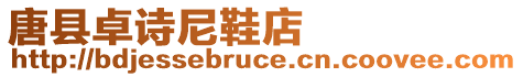 唐縣卓詩(shī)尼鞋店